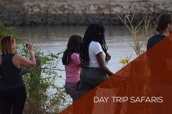 Day Trip Packages