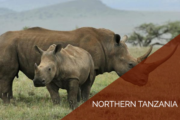 Northern Circuit Tanzania