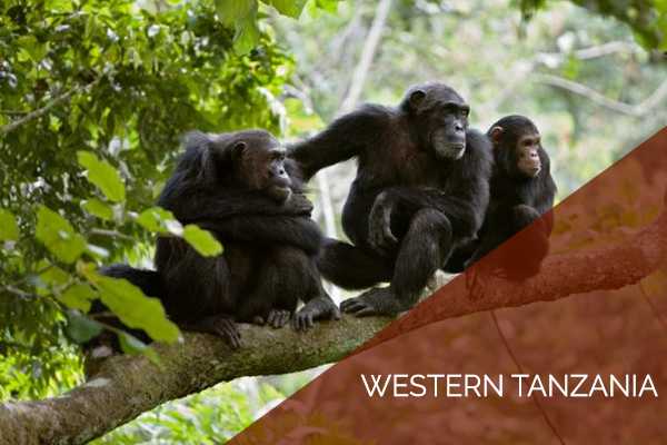 Western Circuit Tanzania